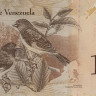 100 боливар 29.10.2013 года. Венесуэла. р93g