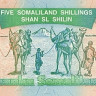 5 шиллингов 1996 года. Сомалиленд. р8