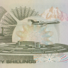 50 шиллингов 1980 года. Кения. р22а