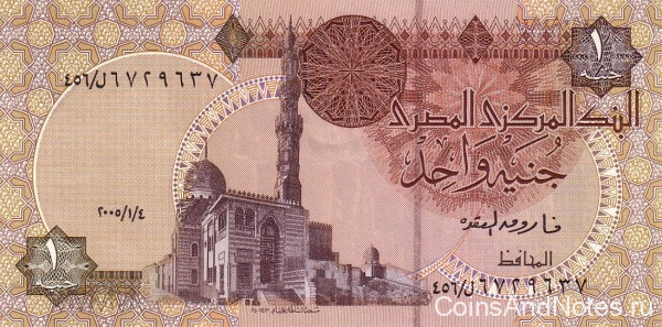 1 фунт 2007 года. Египет. р50l