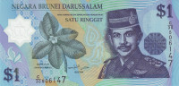 1 доллар 2007 года. Бруней. р22b