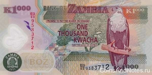 1000 квача 2011 года. Замбия. р44h
