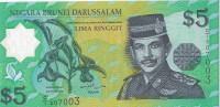 Банкнота 5 долларов 1996 года. Бруней. р23а