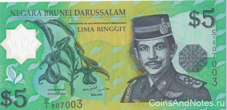 5 долларов 1996 года. Бруней. р23а