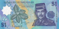 Банкнота 1 доллар 1996 года. Бруней. р22а