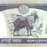 50 рупий 2000-2001 годов. Непал. р33с(2)