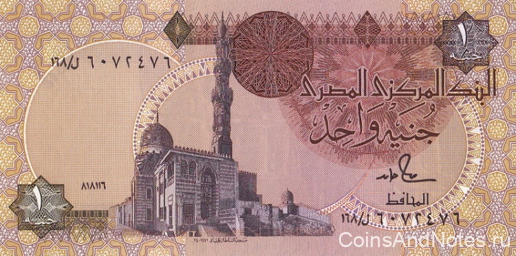 1 фунт 18.11.1986 года. Египет. р50d