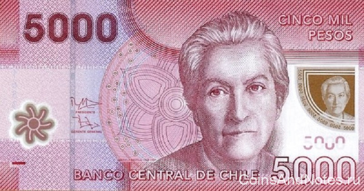 5000 песо 2013 года. Чили. р163d
