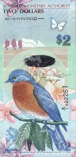 2 доллара 01.01.2009 года. Бермудские острова. р57а(2)