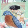 2 доллара 01.01.2009 года. Бермудские острова. р57а(2)