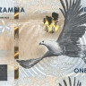 100 квача 2024 года. Замбия. рW65