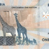 100 квача 2024 года. Замбия. рW65
