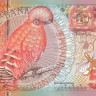 500 гульденов 01.01.2000 года. Суринам. р150