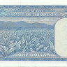 1 доллар 1974 года. Родезия. р30j
