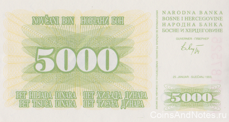 5000 динаров 1993 года. Босния и Герцеговина. р16а