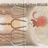 1000 франков 1980-1996 годов. Бельгия. р144а(4)