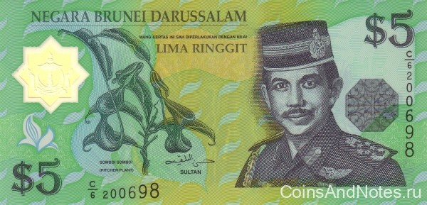 5 долларов 2002 года. Бруней. р23
