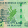 1000 квача 2020 года. Малави. р67(20)
